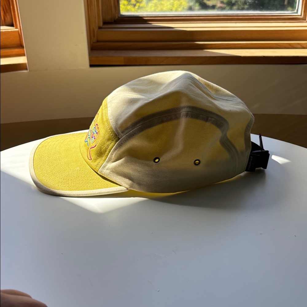 Patagonia 5 Panel Baseball Hat